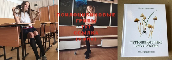 кристаллы Бородино