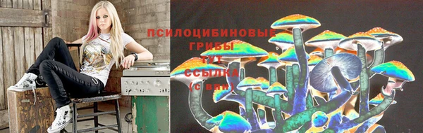 тгк Бронницы