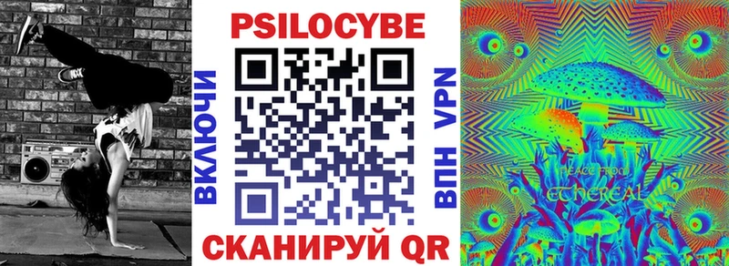 Галлюциногенные грибы Psilocybe  цена наркотик  omg сайт  Дагестанские Огни 